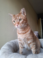 /album/26-02-20261/whatsapp-image-2026-02-26-at-17-59-55-2-jpeg/